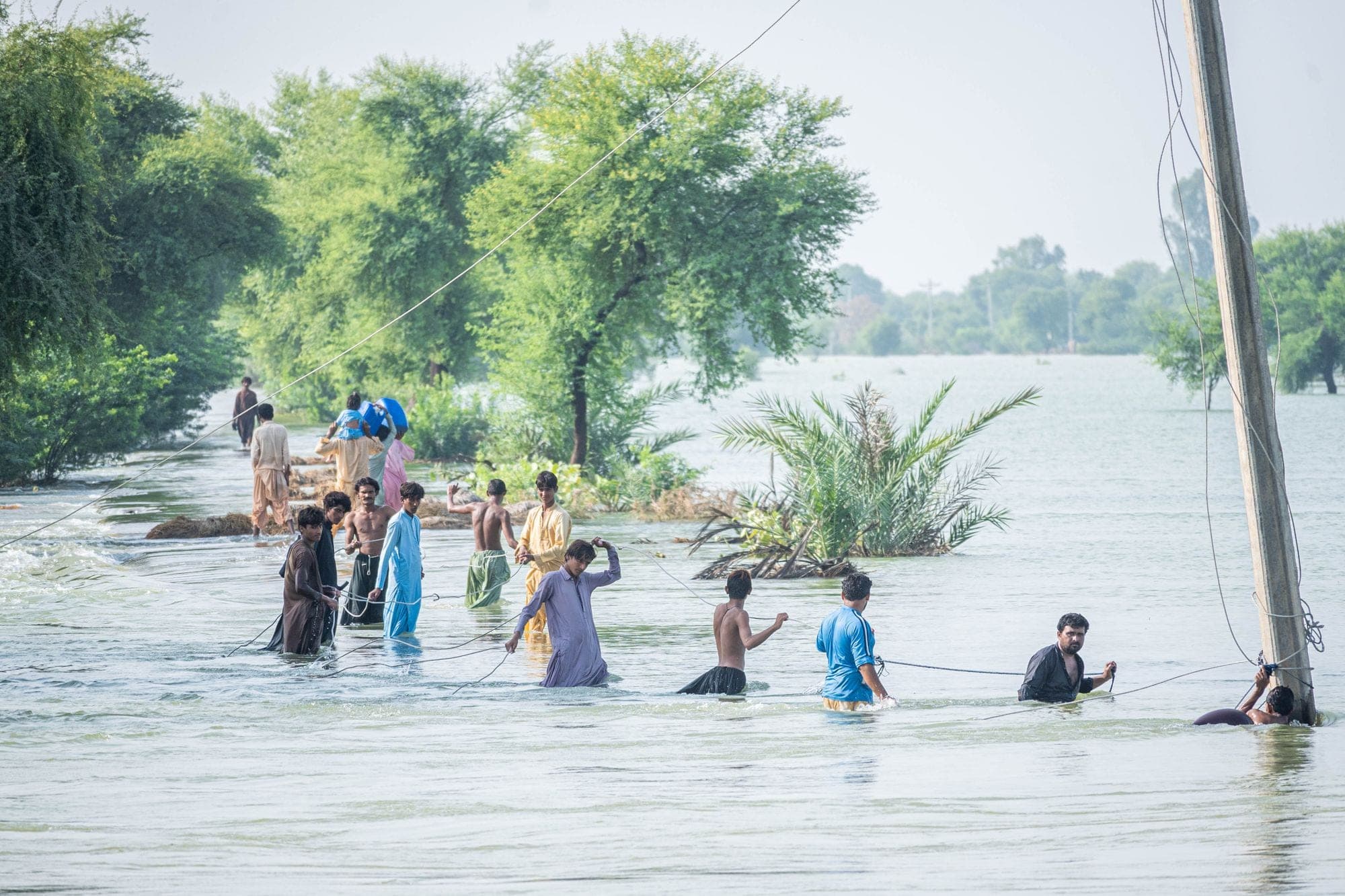People wading through floodwater carrying belongings past submerged trees