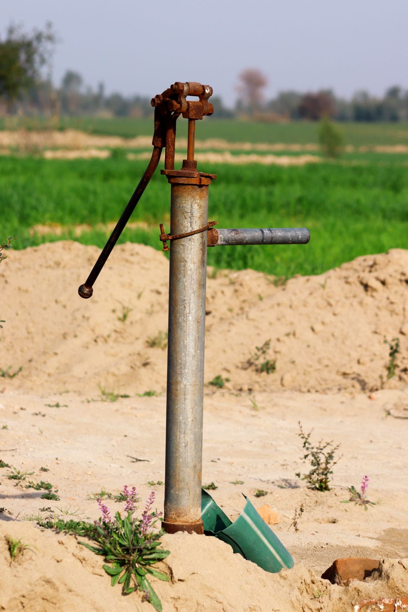 A hand pump standing at the edge of a green field